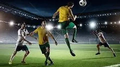 2025国羽斩获47冠佳绩，男单力邀李矛助阵复兴